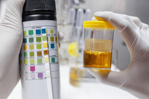 What is Synthetic Urine?